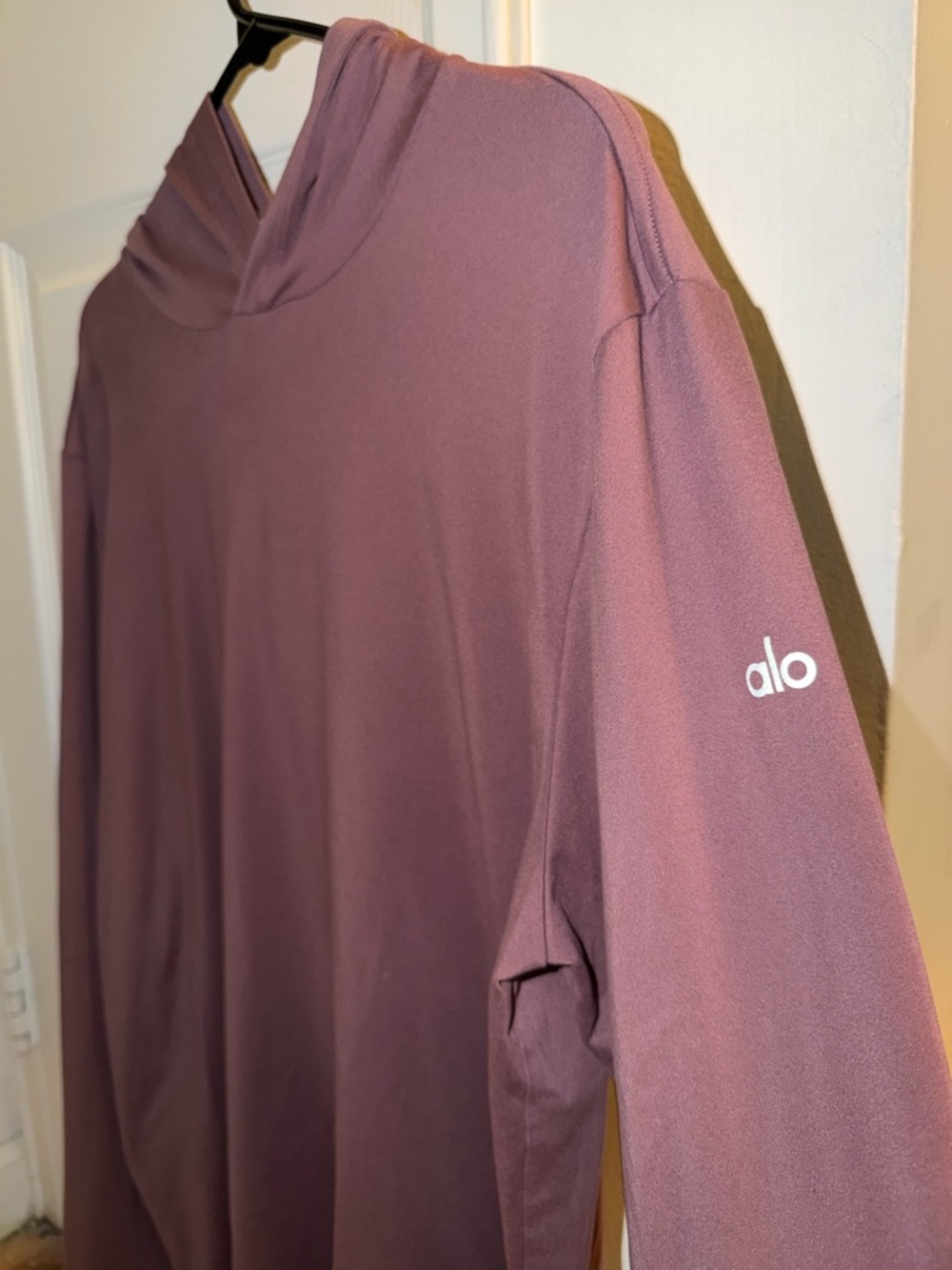Alo Men’s Conquer Reform Long Sleeve with Hood - Woodrose Size L - Picture 4 of 5